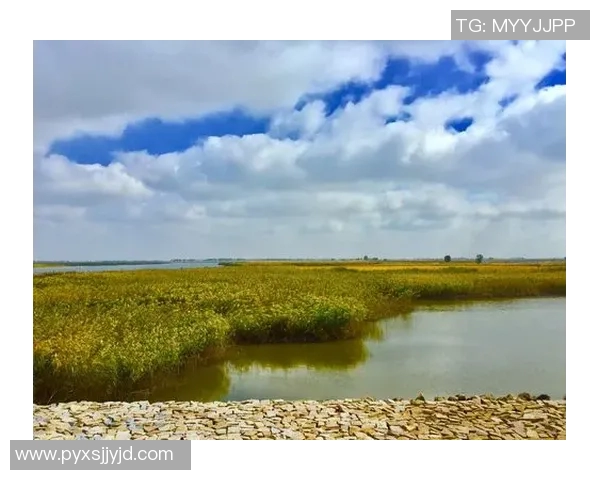 南宫pg-南宫PG，解密古老神话与未来科技交融的发展蓝图-南宫pg